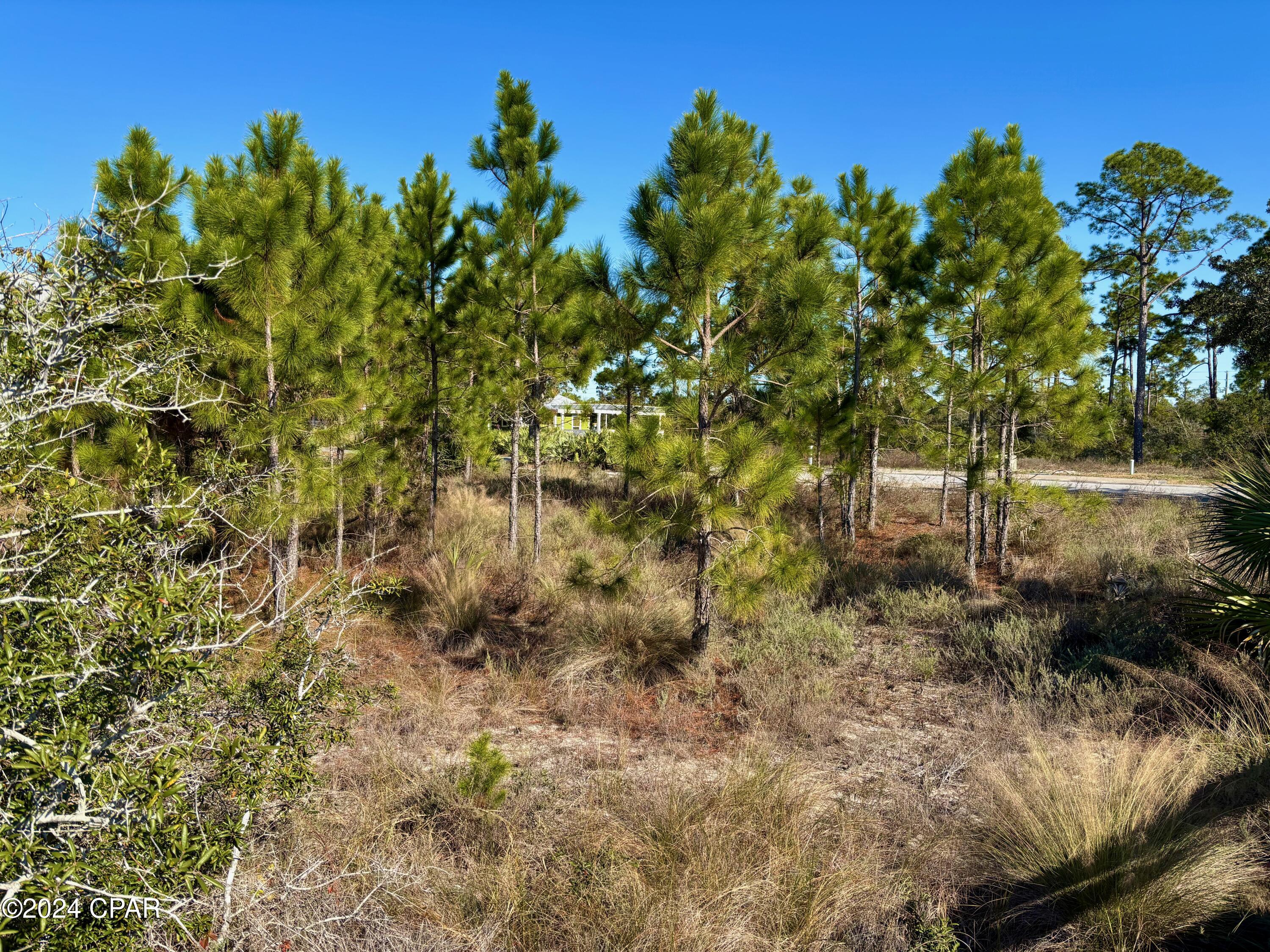 103 Whirlwind Court, Port St. Joe