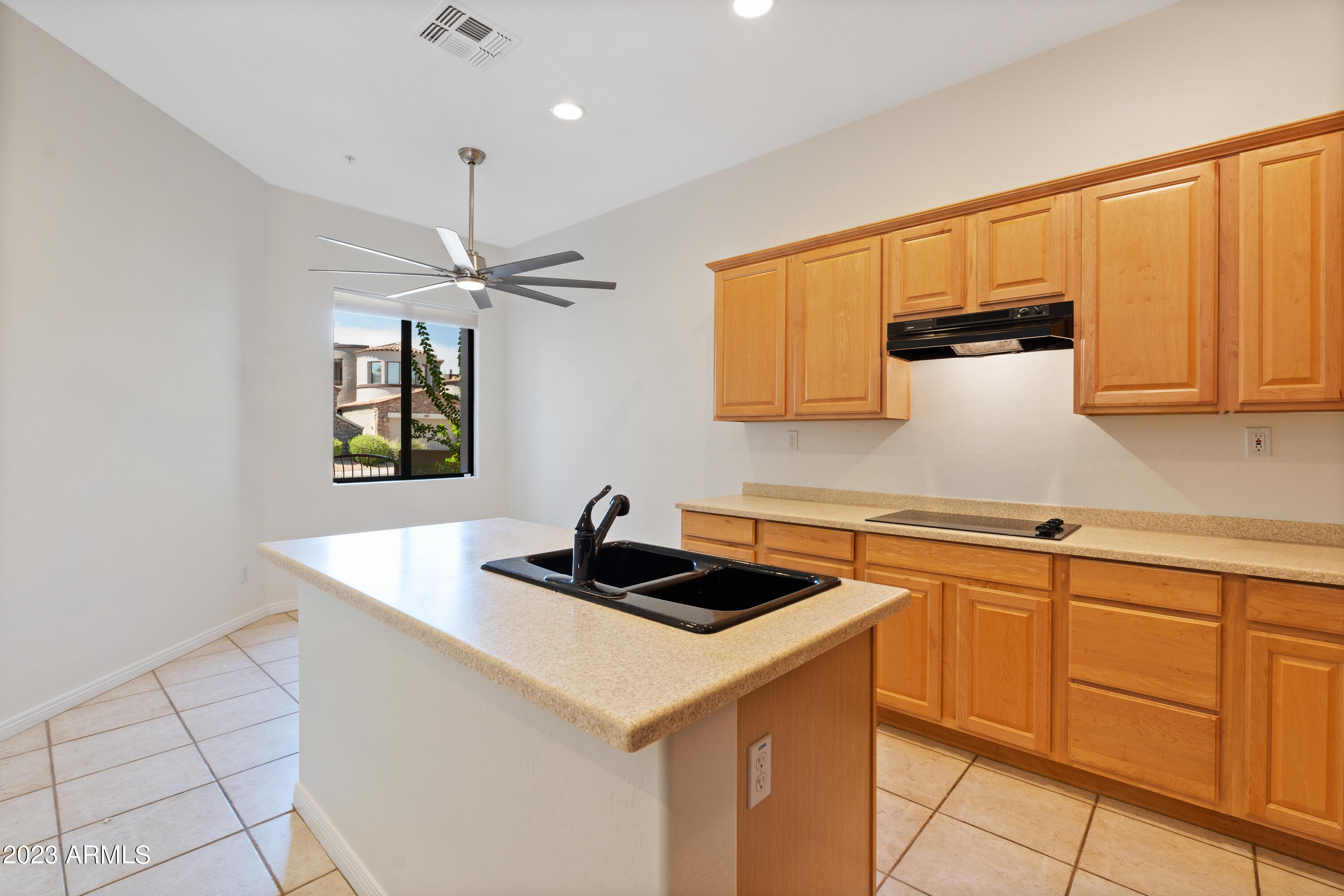 19550 N GRAYHAWK Drive, 1078