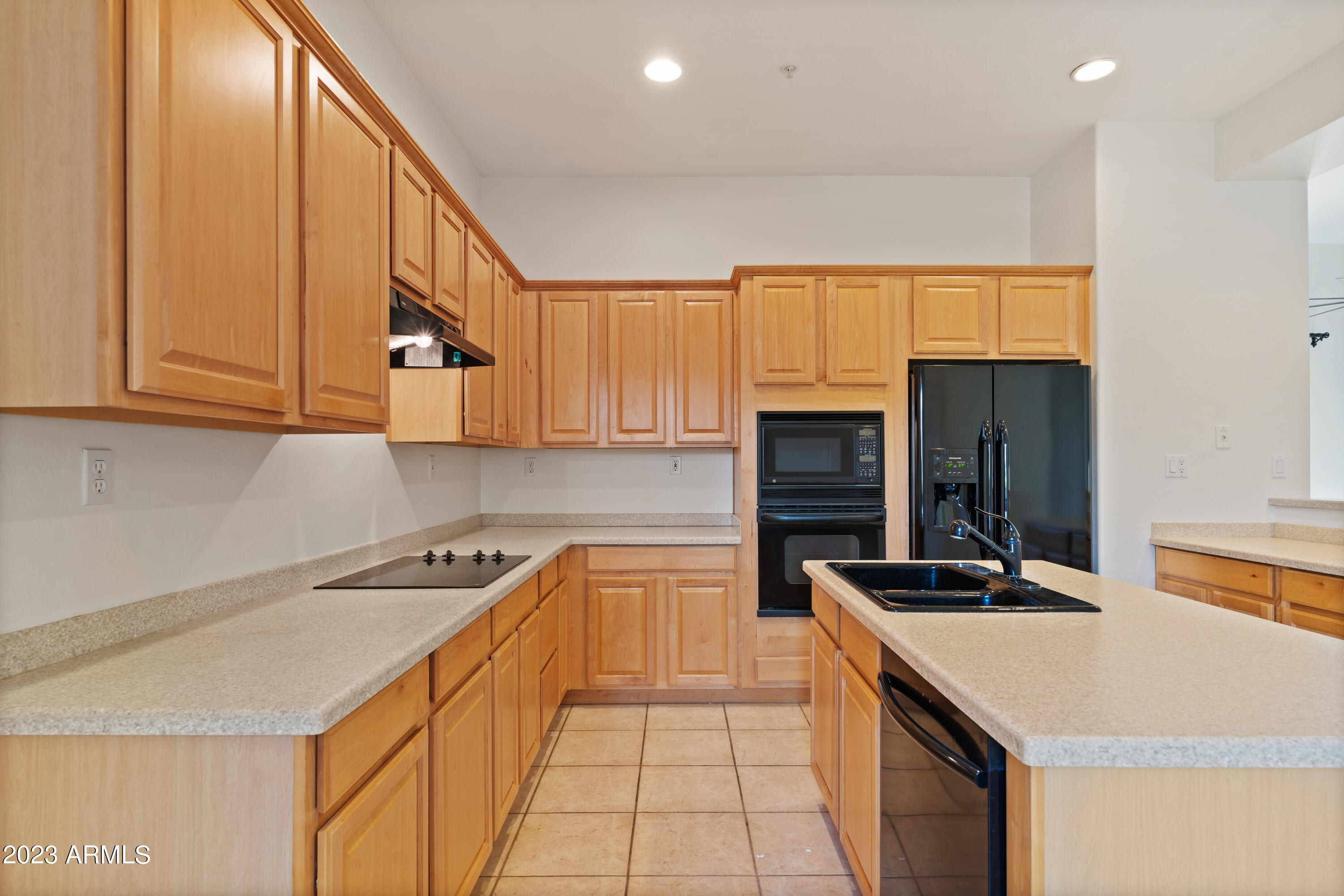 19550 N GRAYHAWK Drive, 1078