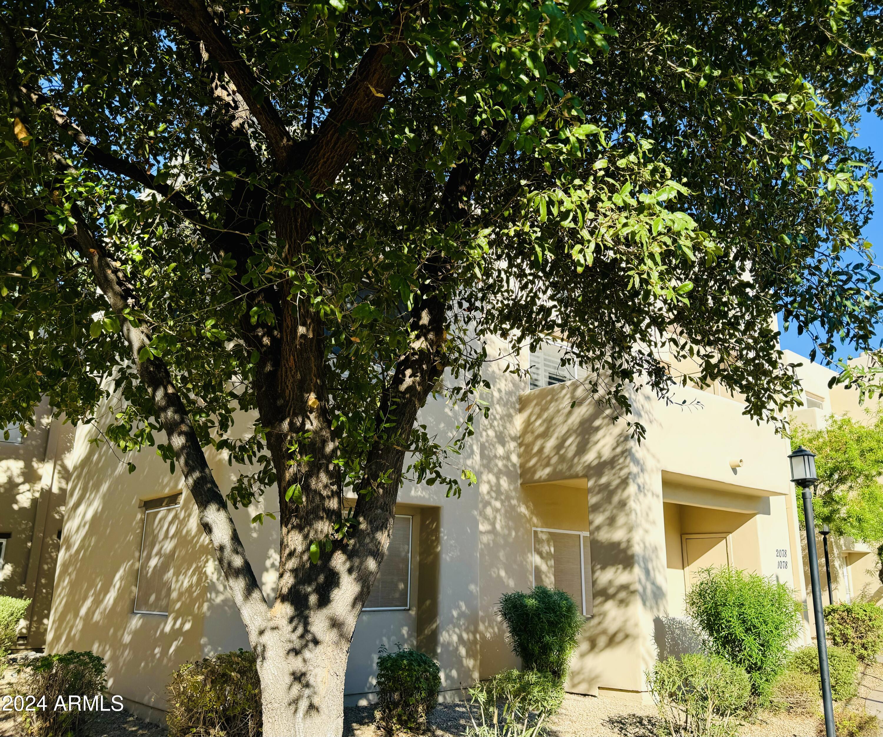 11333 N 92ND Street, 1078