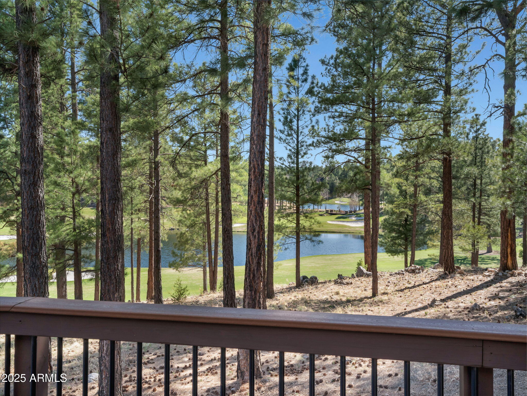 3366 S Tourmaline Drive, 55