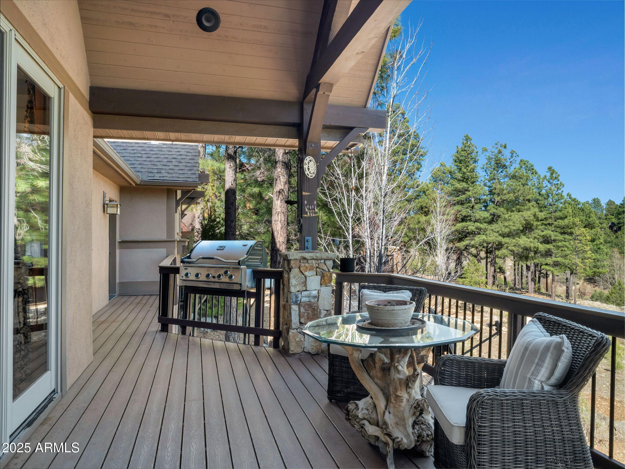 3366 S Tourmaline Drive, 55