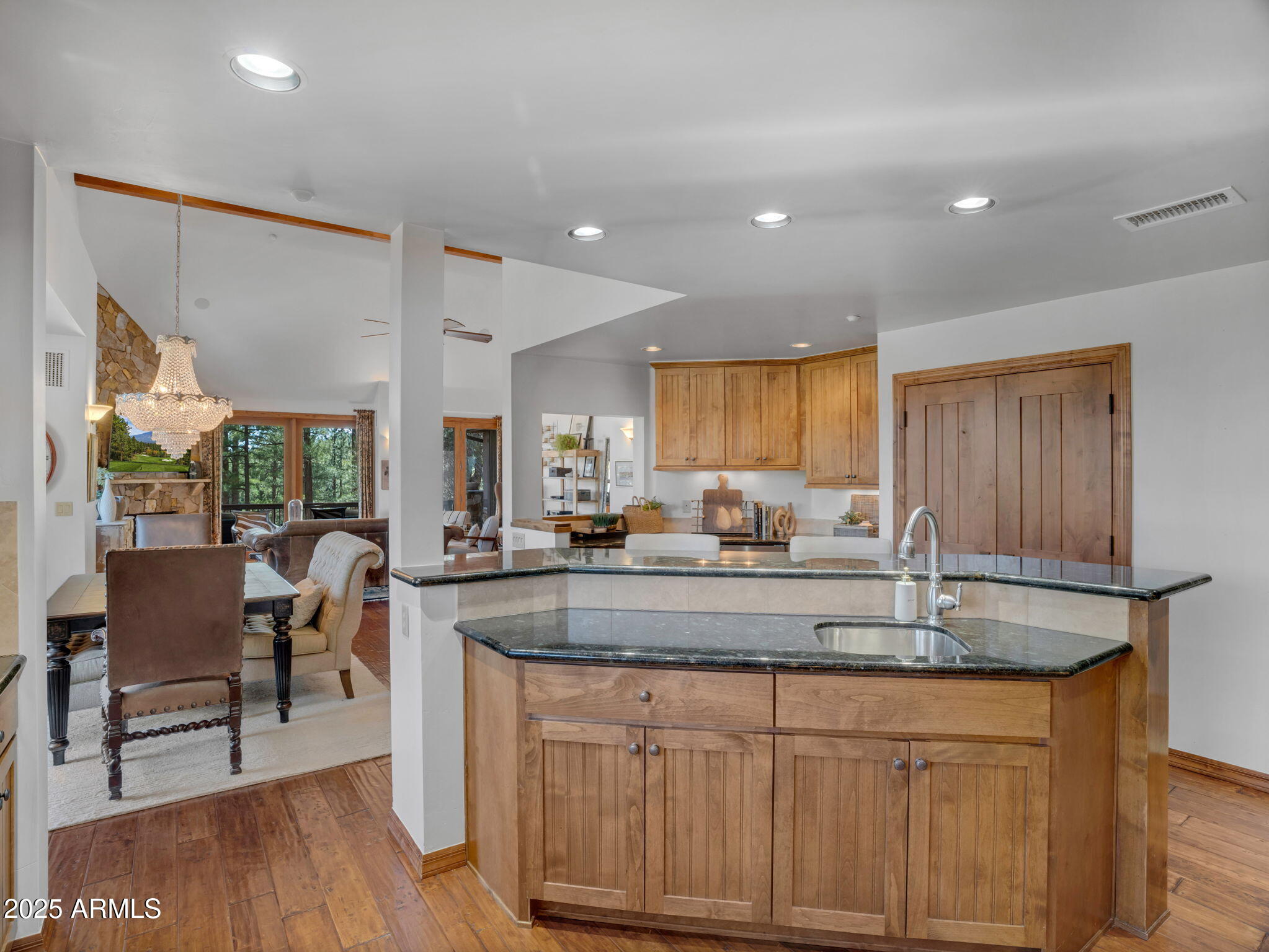 3366 S Tourmaline Drive, 55