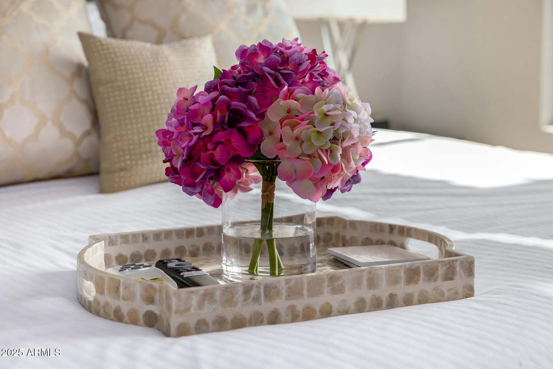 8245 E BELL Road 217