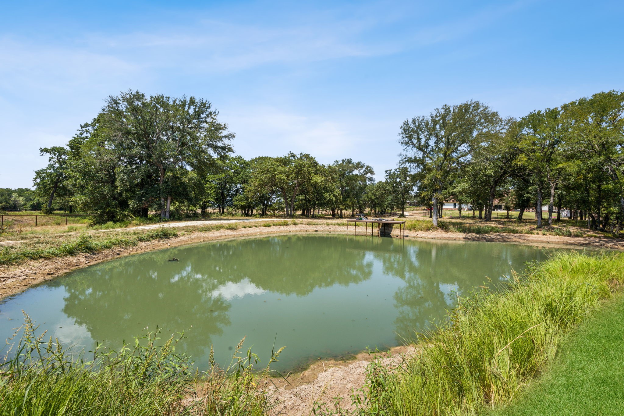 135 Silver Saddle Circle