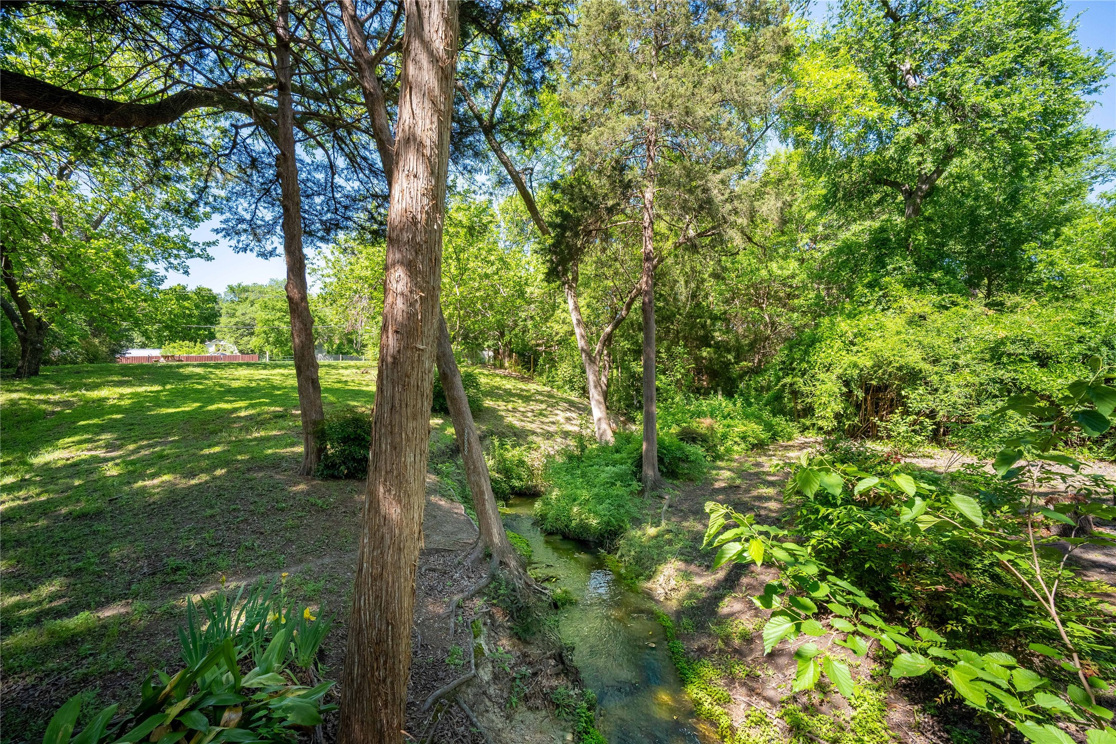 1523 San Saba Drive