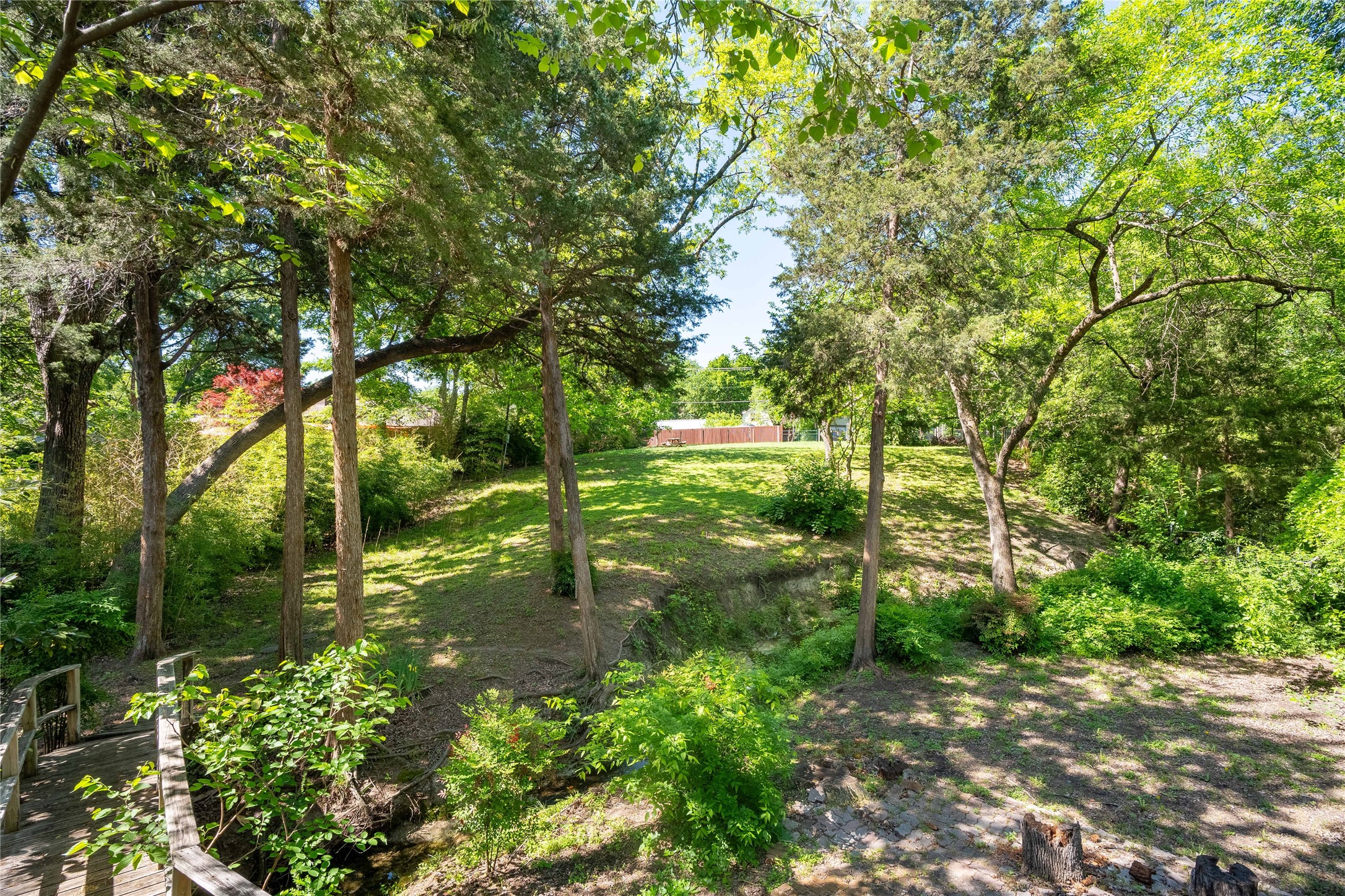 1523 San Saba Drive