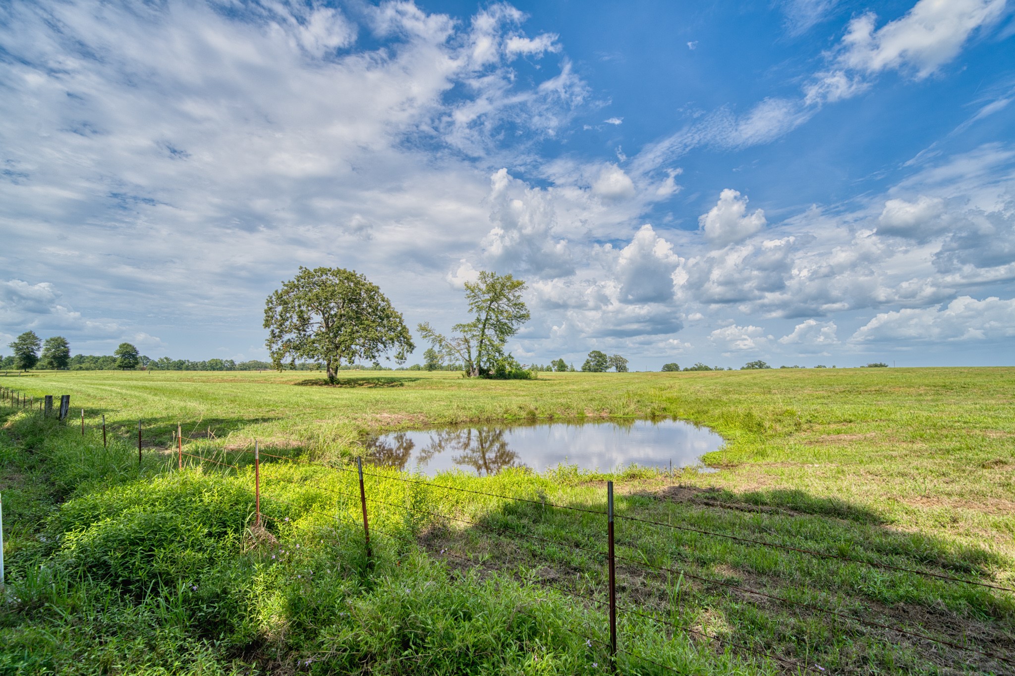 2111 County Road 4335