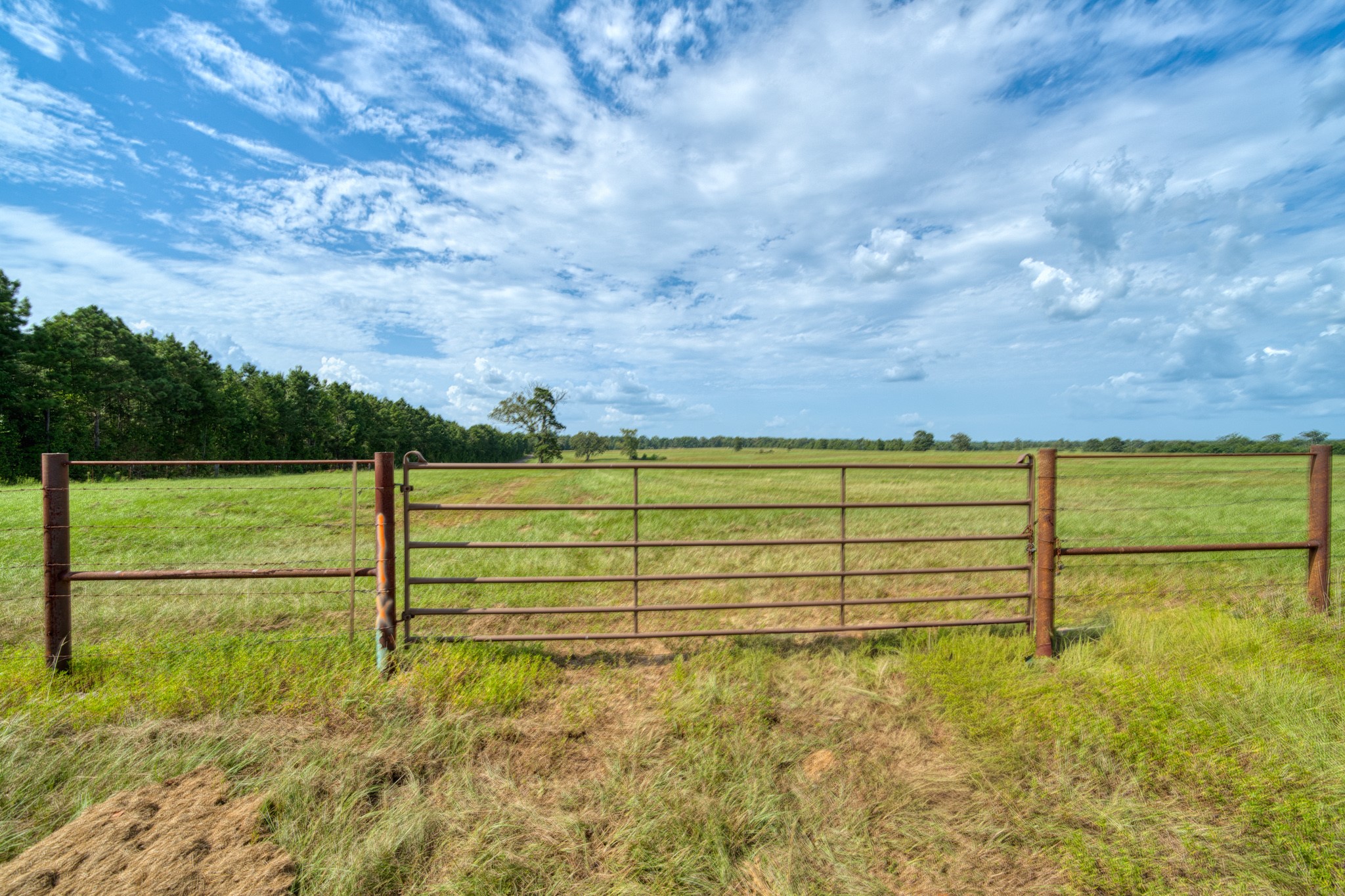 2111 County Road 4335