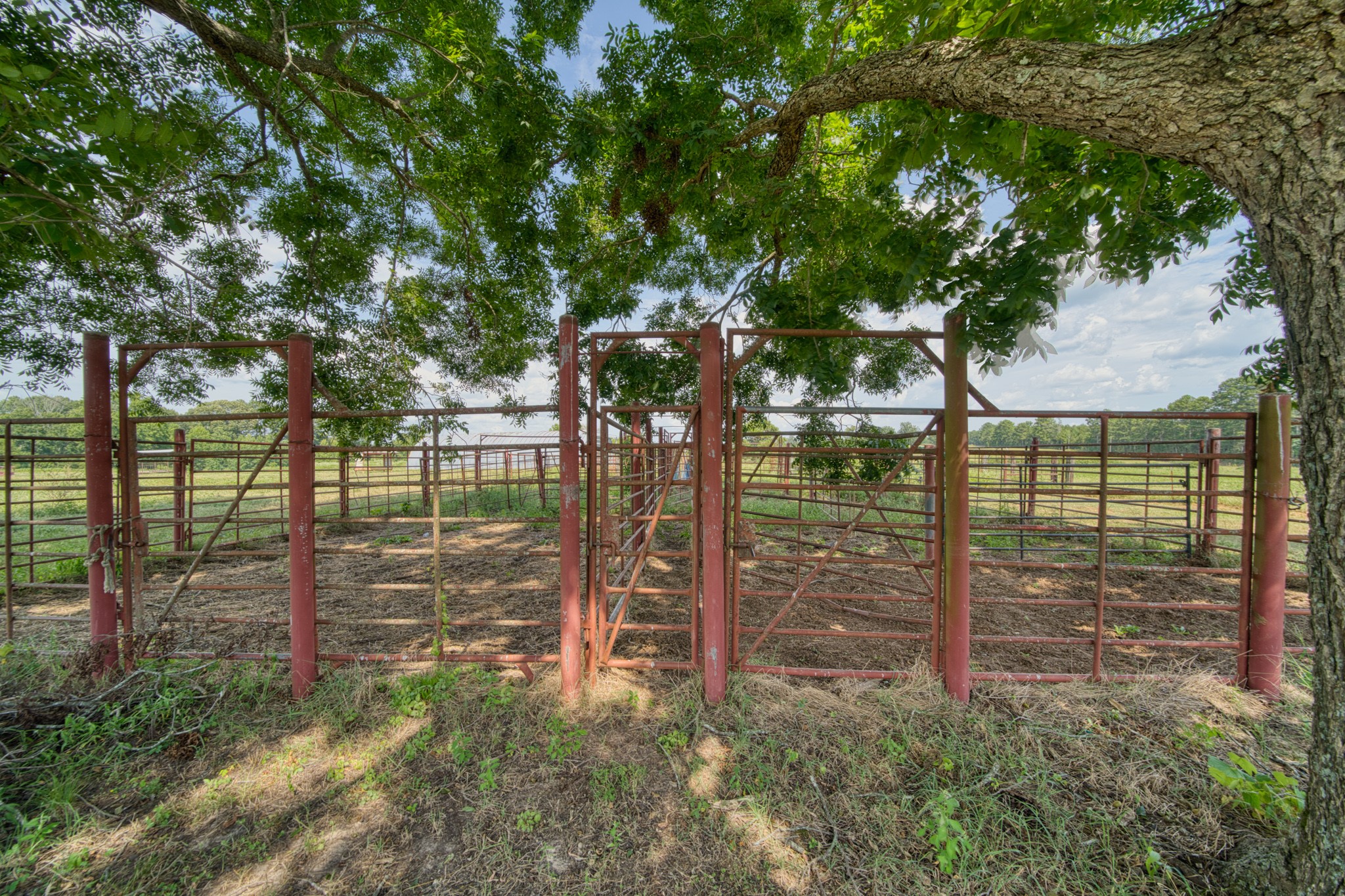 2111 County Road 4335