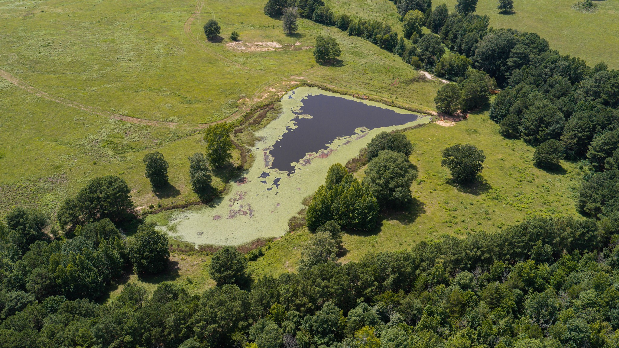 2111 County Road 4335