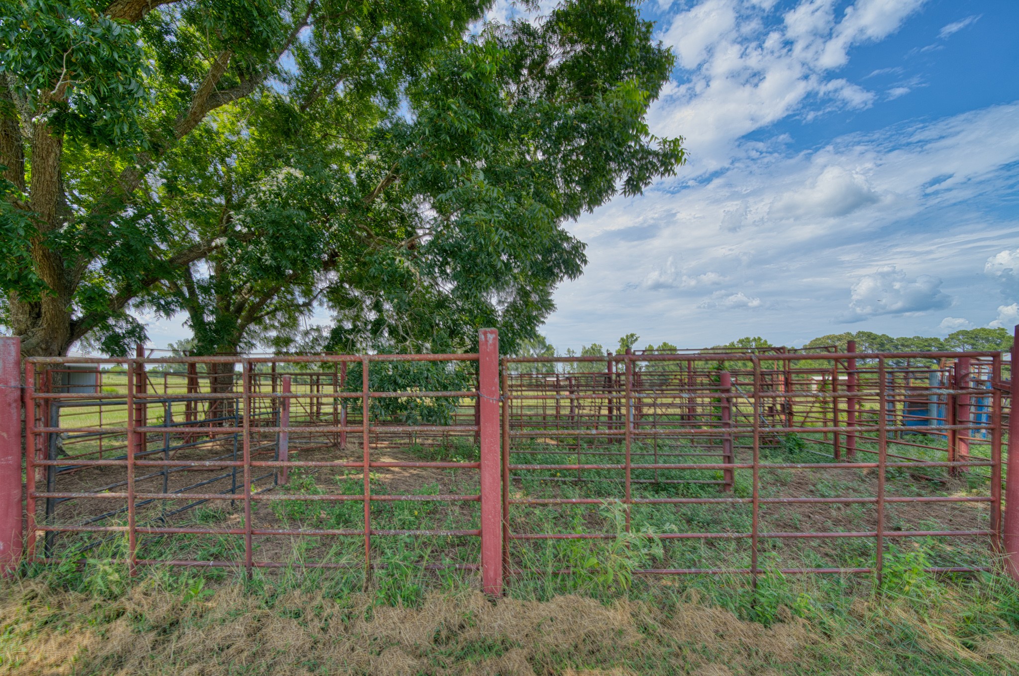 2111 County Road 4335