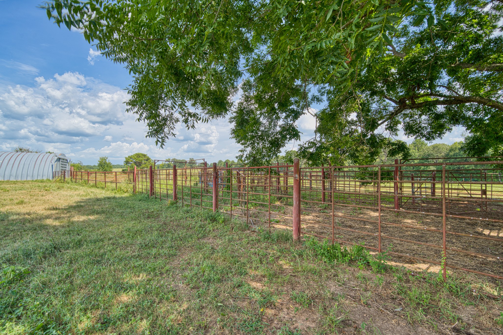 2111 County Road 4335