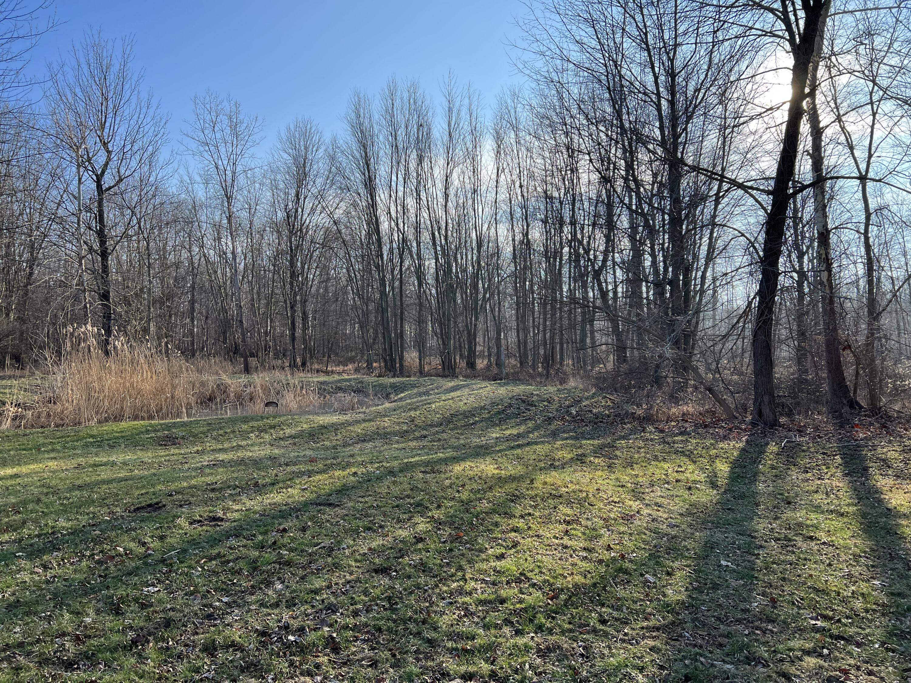 141 E Nettleman Road