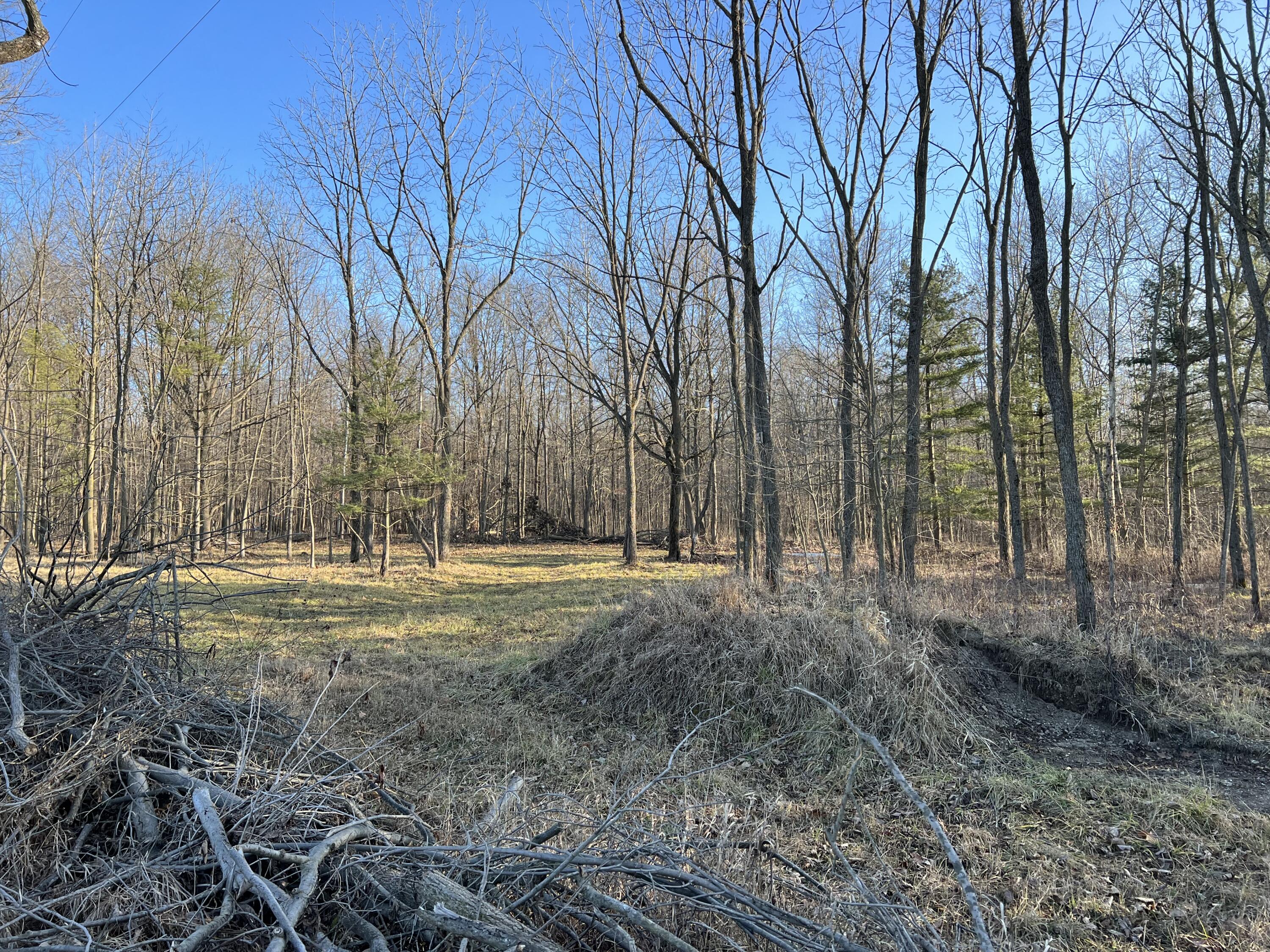 141 E Nettleman Road