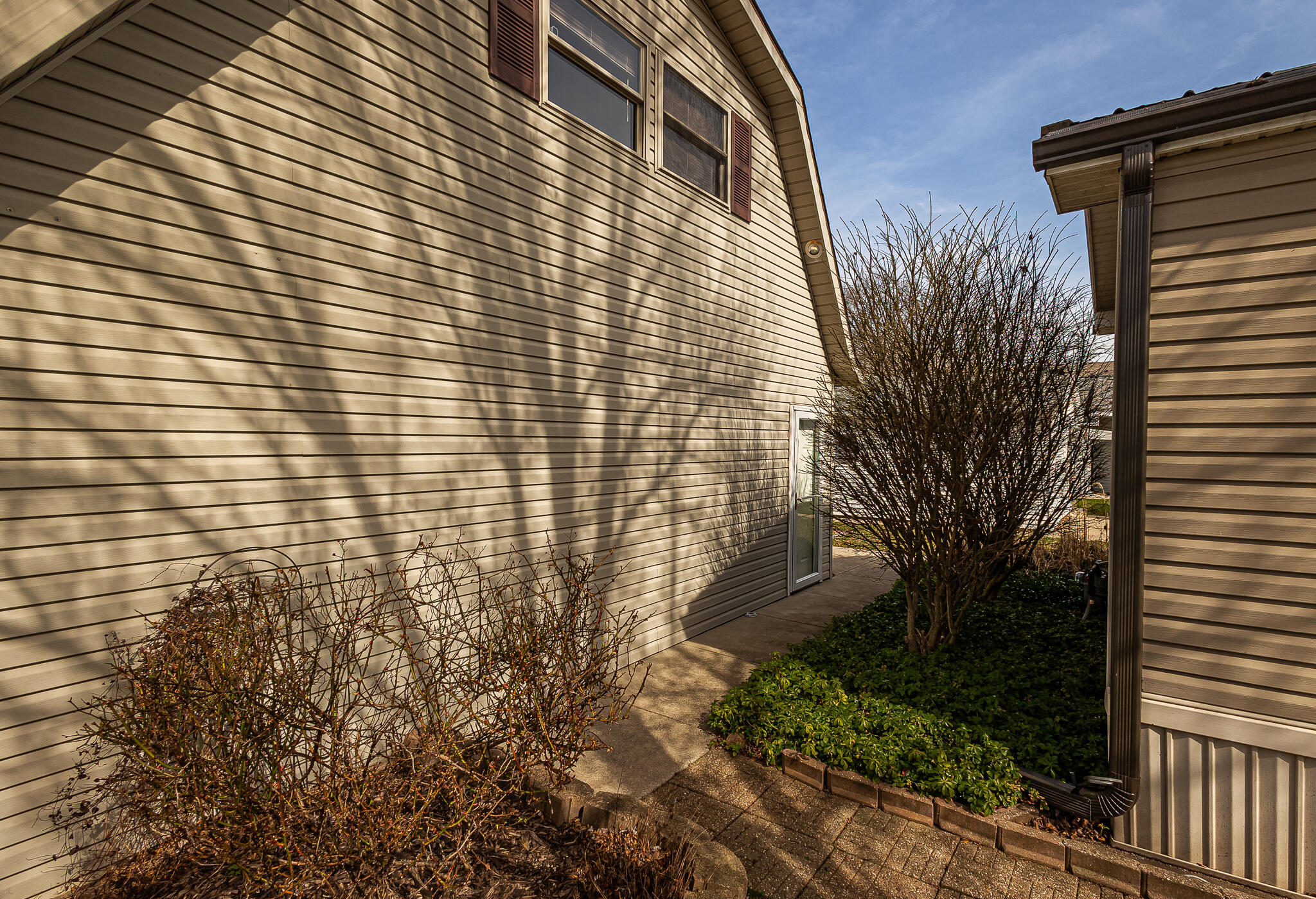 563 Sassafras Drive