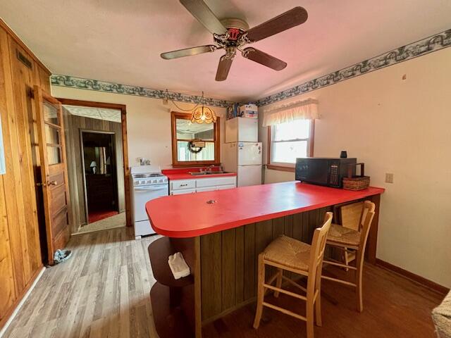 149 Teal Dr.