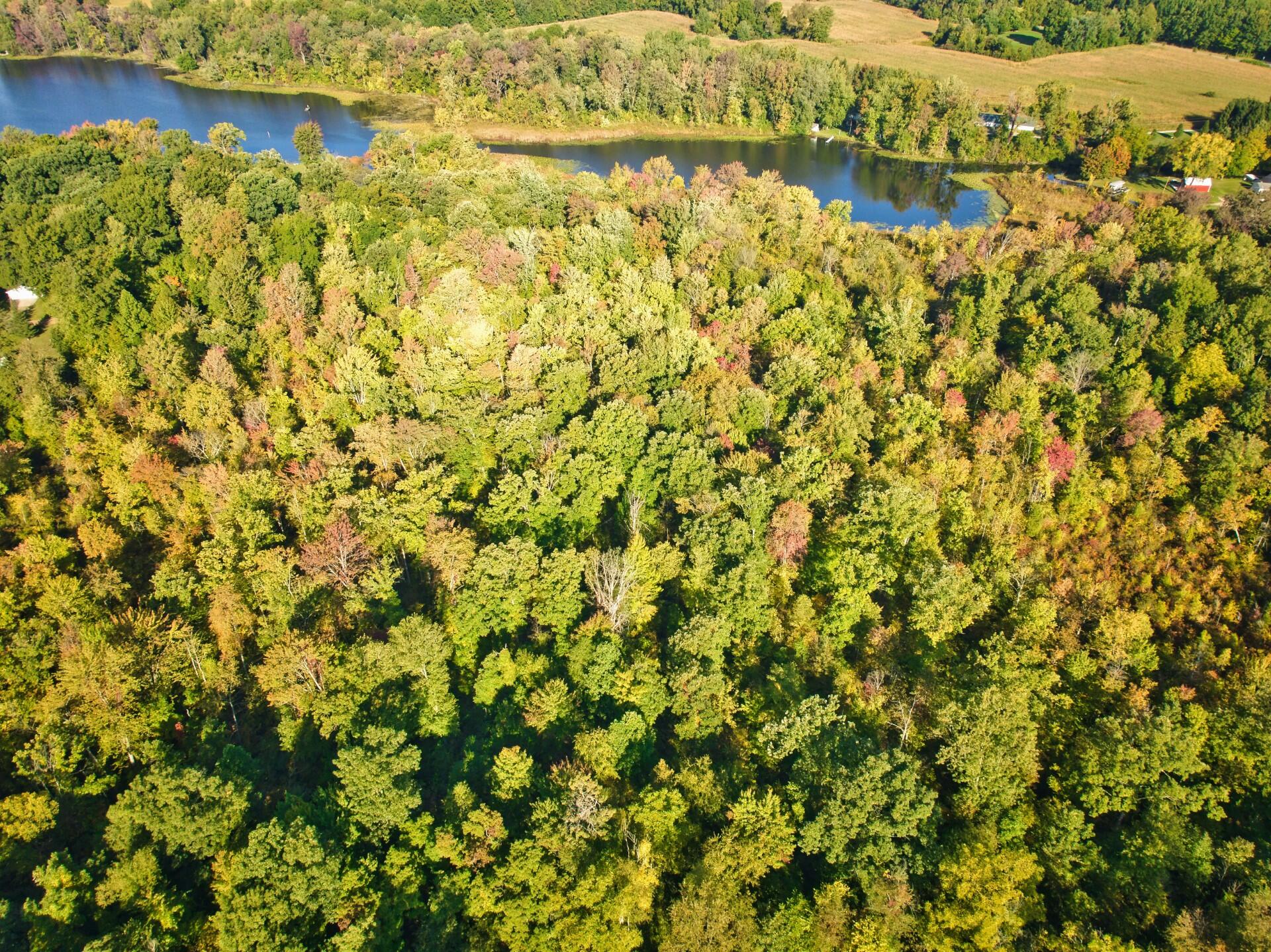 0 Mud Lake Dr.