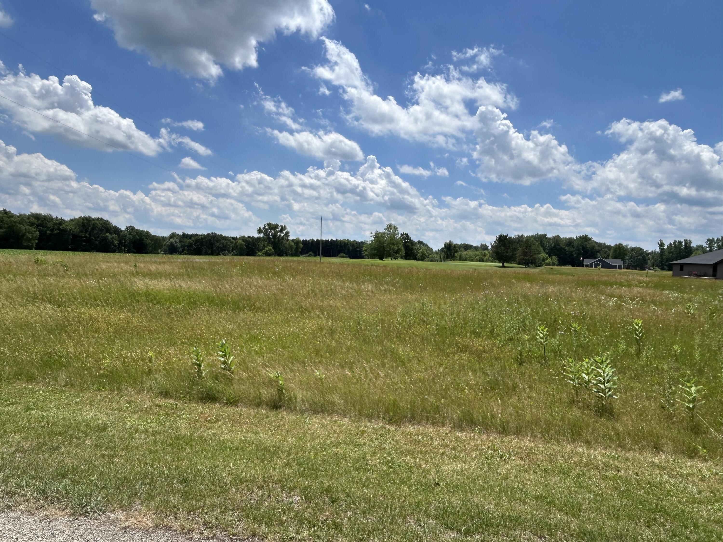 649 Blackberry Drive Lot #1