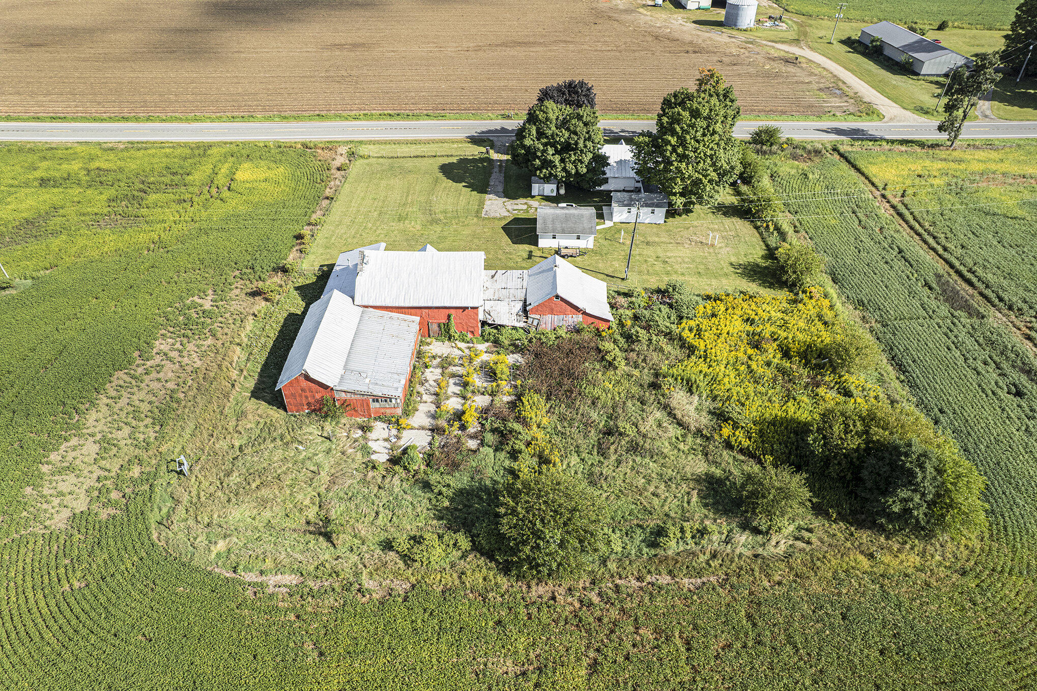 317 W Colon Road
