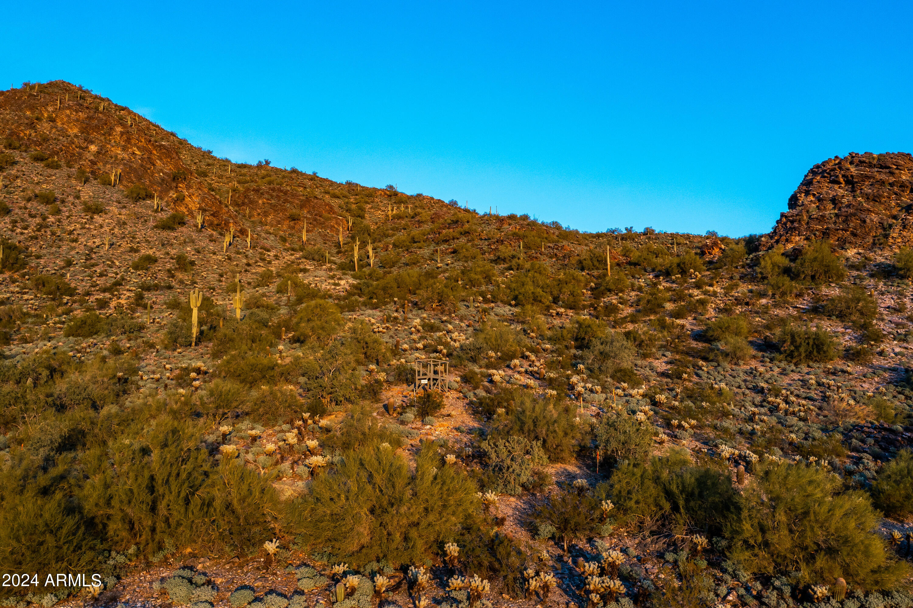 21235 N 102ND Street, 1405