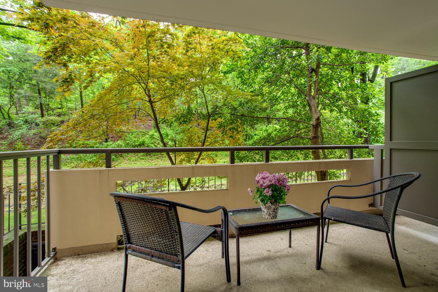 1808 Old Meadow Rd #303