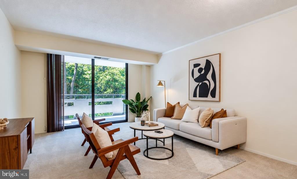 Living room with a white sofa, wooden lounge chairs, and sliding doors overlooking leafy trees.