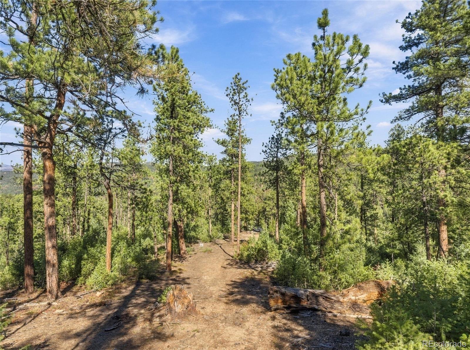 896 S County Highway 67