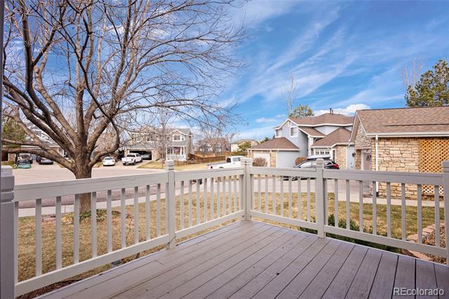 10532 Wintersweet Court