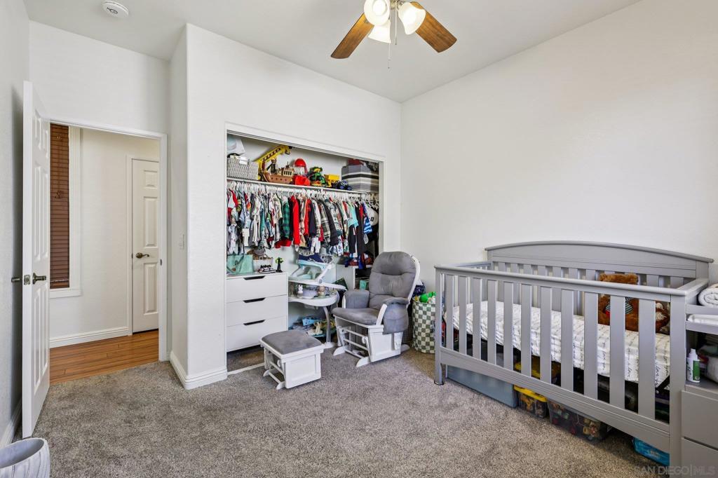 16548 Open View