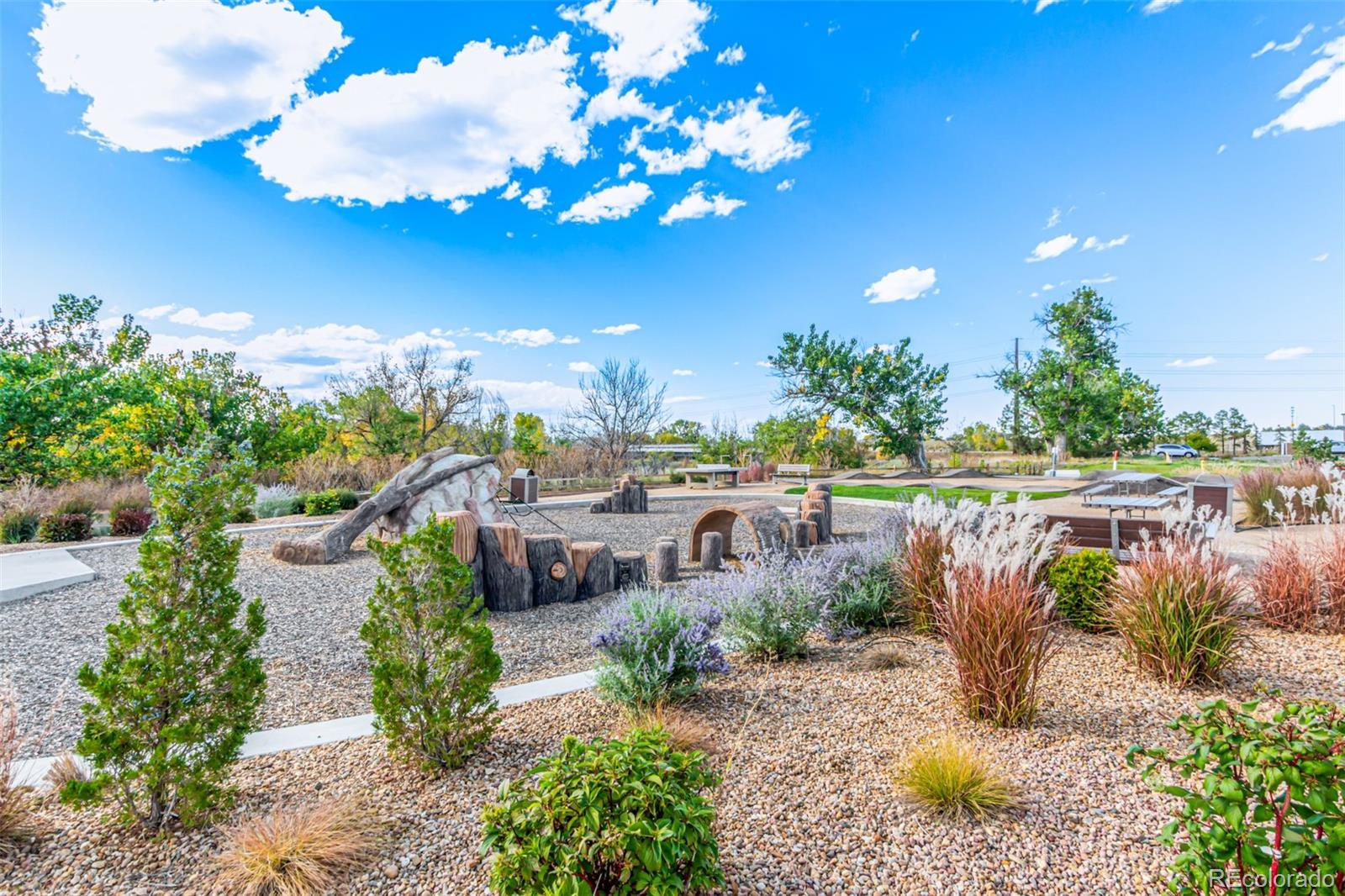 9287 Twenty Mile Road Unit: 204