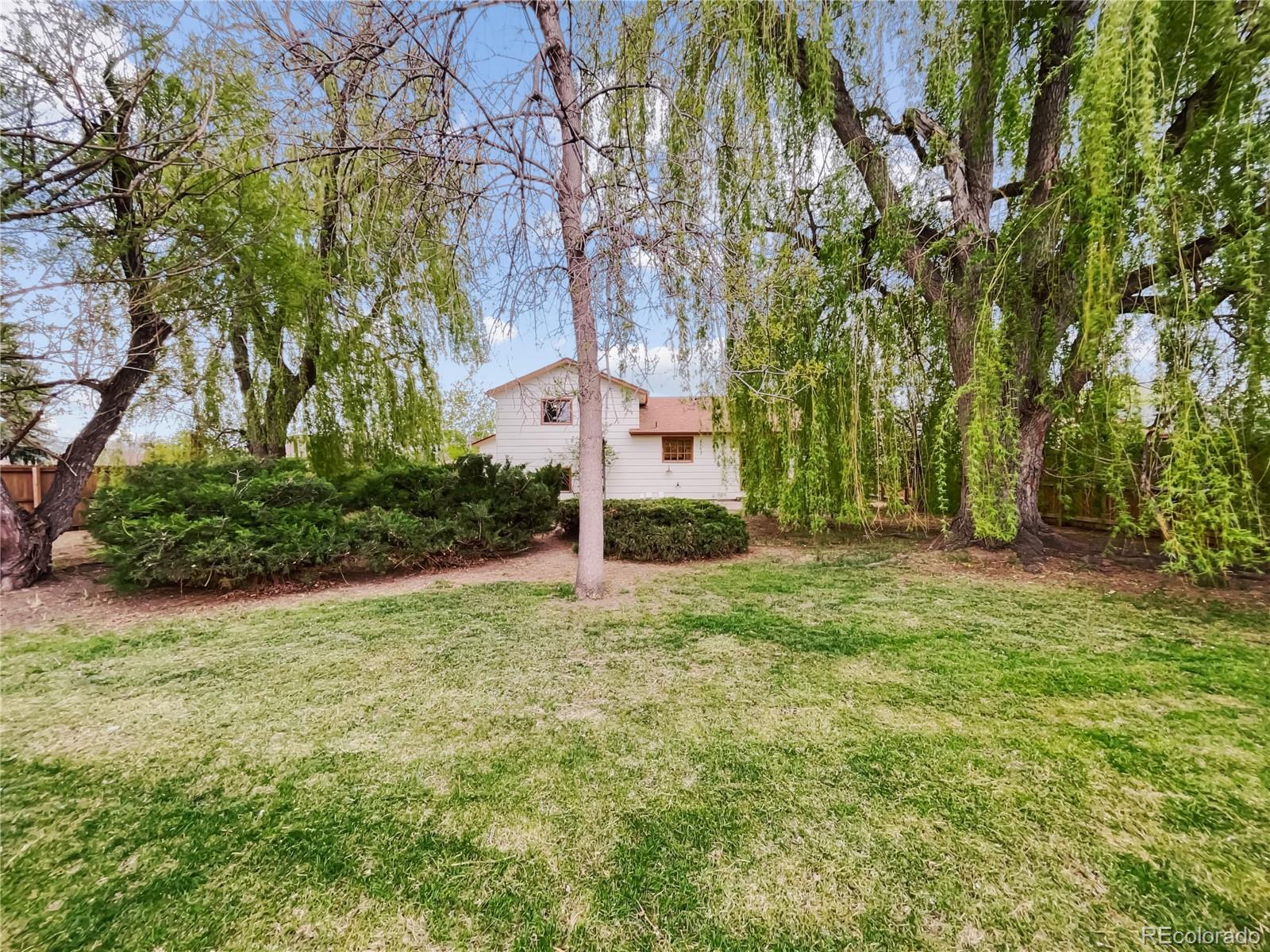 1143 N Redbud Drive