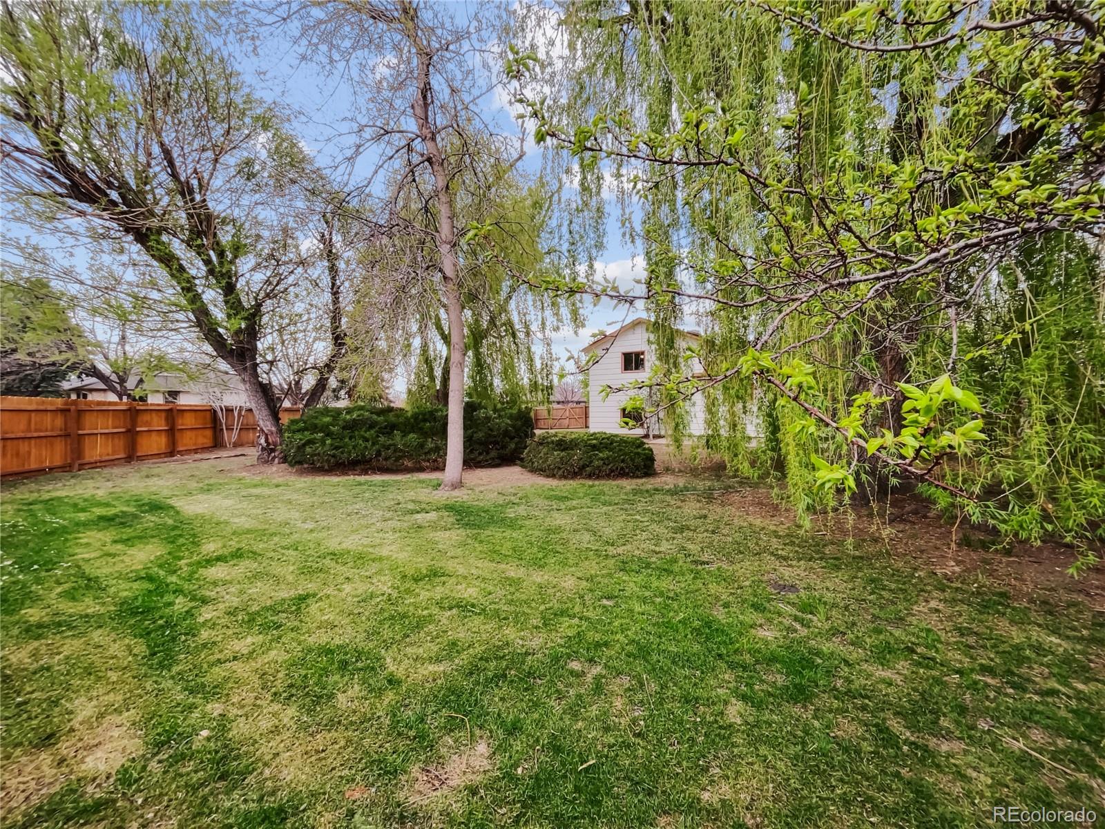1143 N Redbud Drive