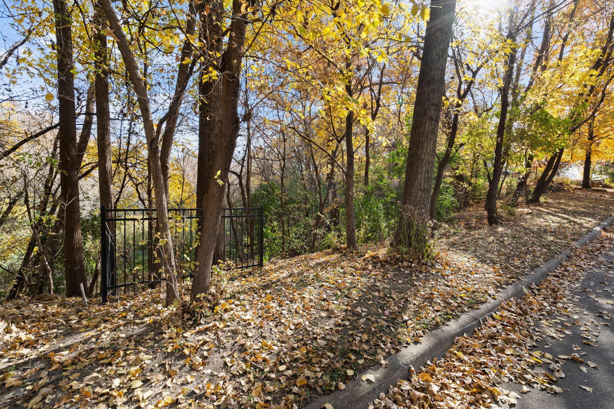 17711 Creek Ridge Pass