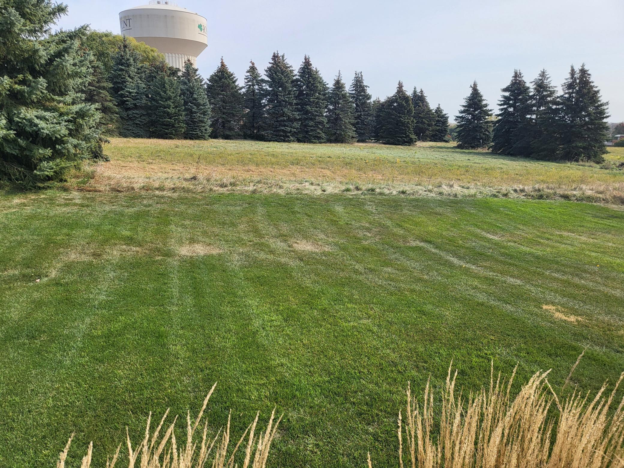 13572 Birchwood Avenue