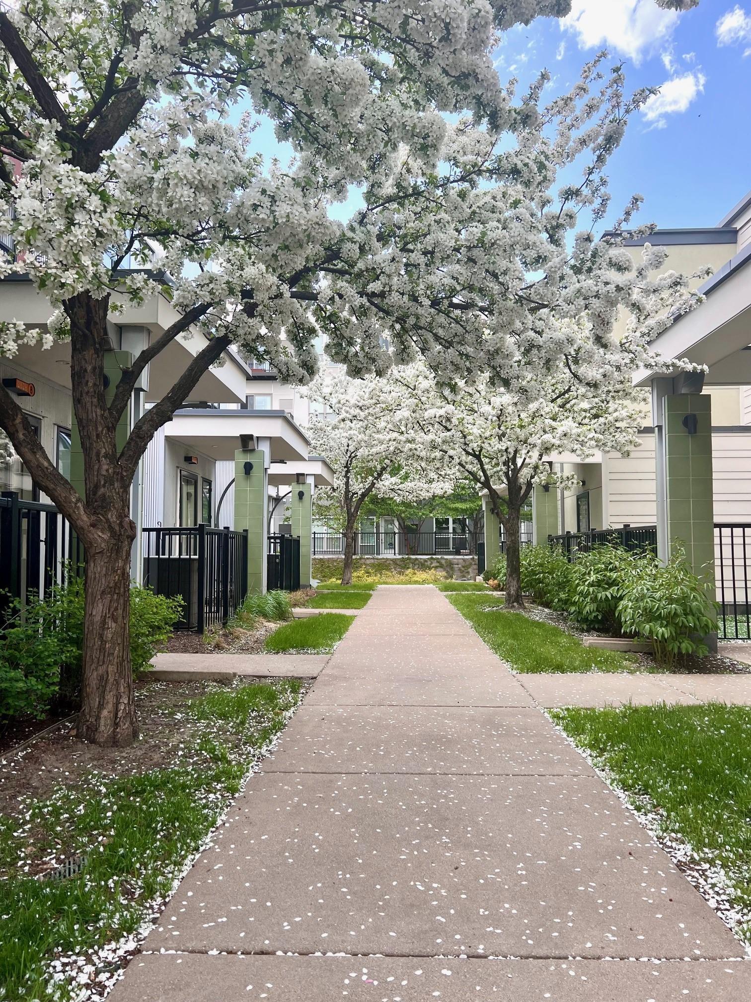 2828 Aldrich Avenue S Unit: 7