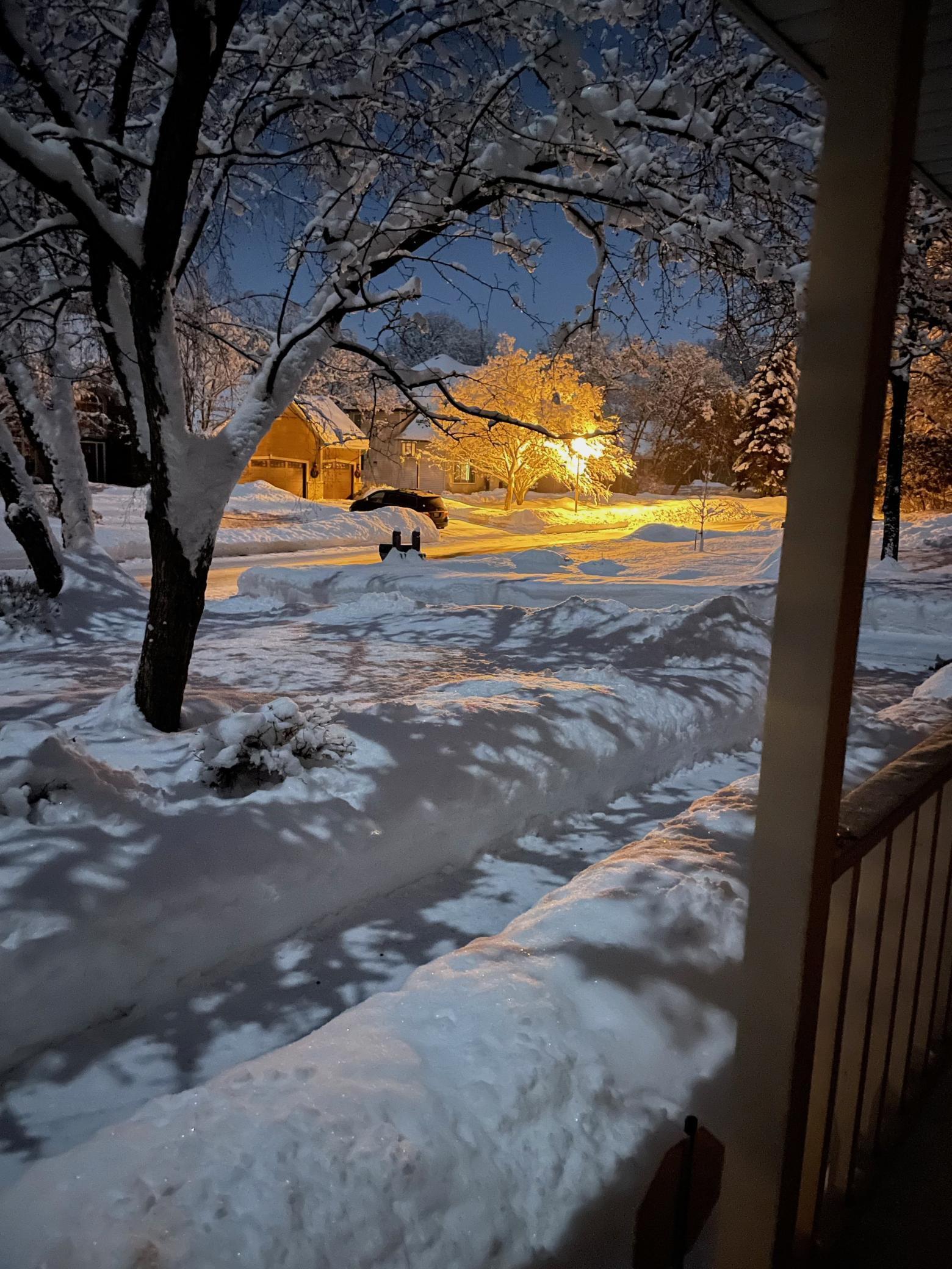 16786 Jackpine Trail