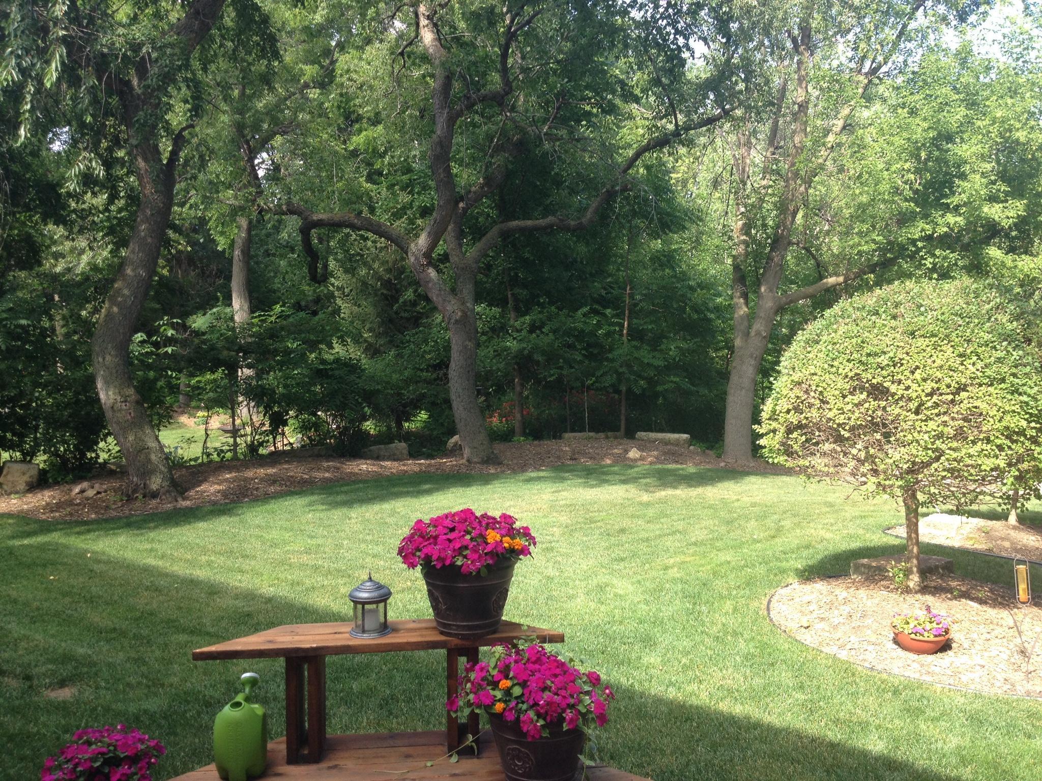 16786 Jackpine Trail