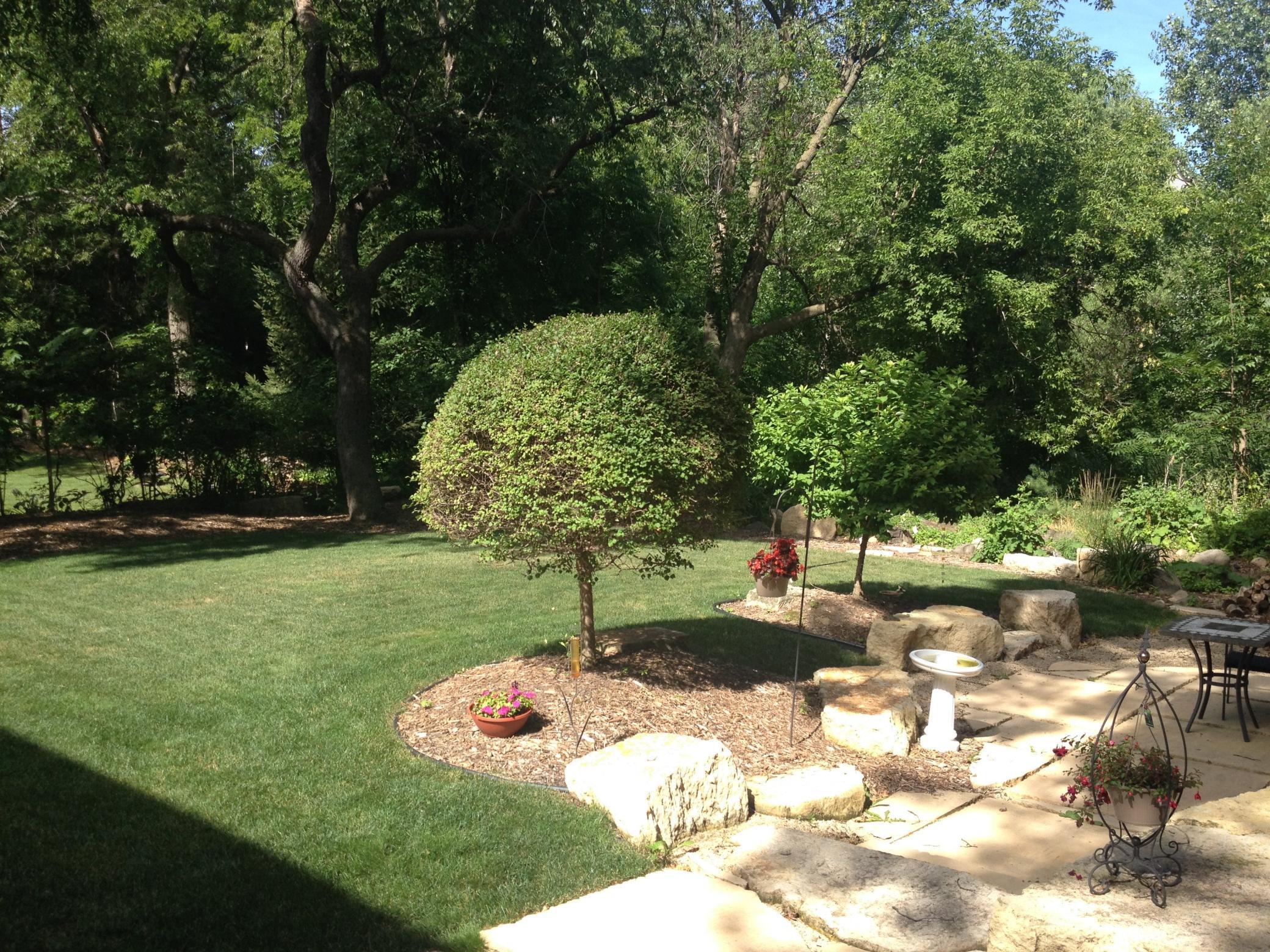 16786 Jackpine Trail