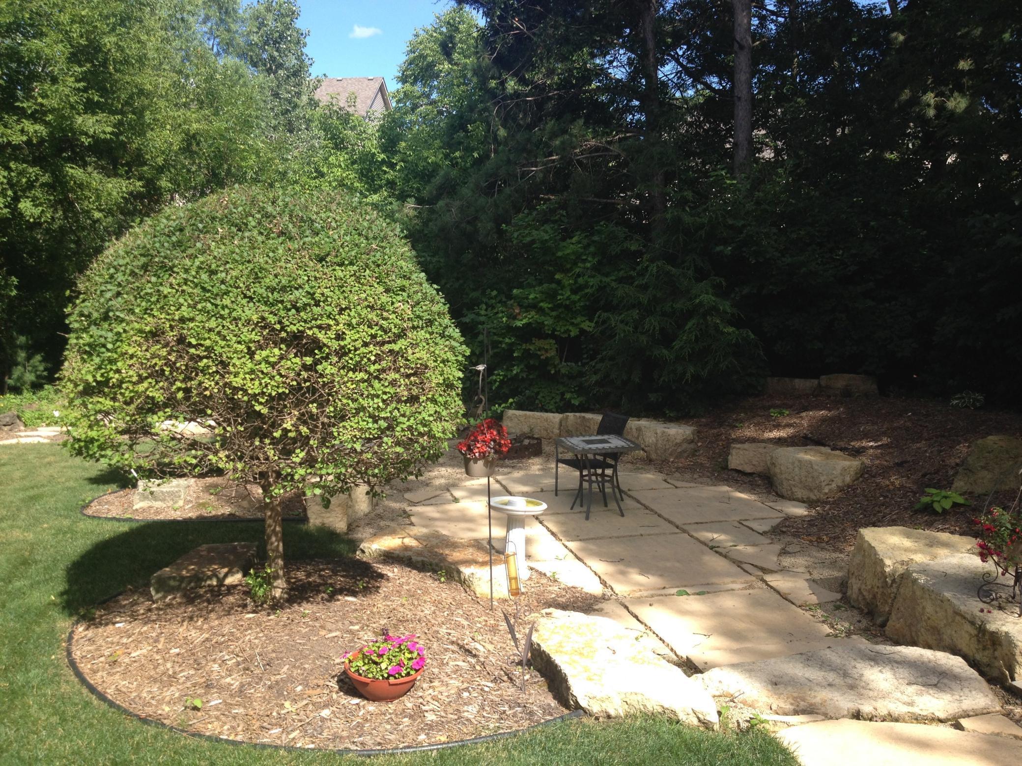 16786 Jackpine Trail