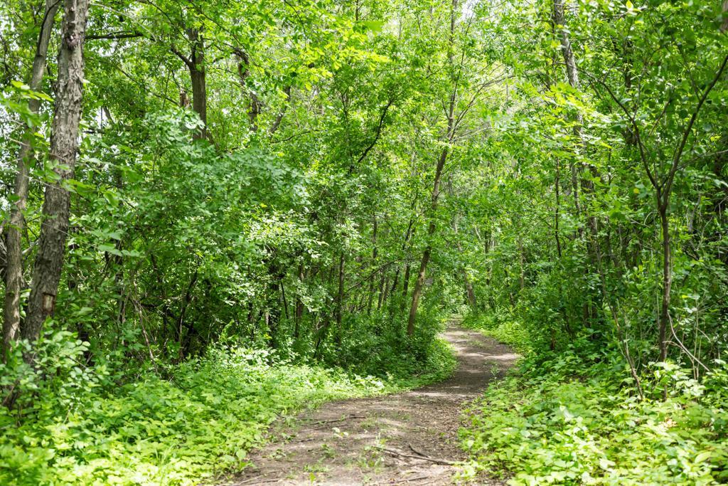 8699 190th Avenue NW