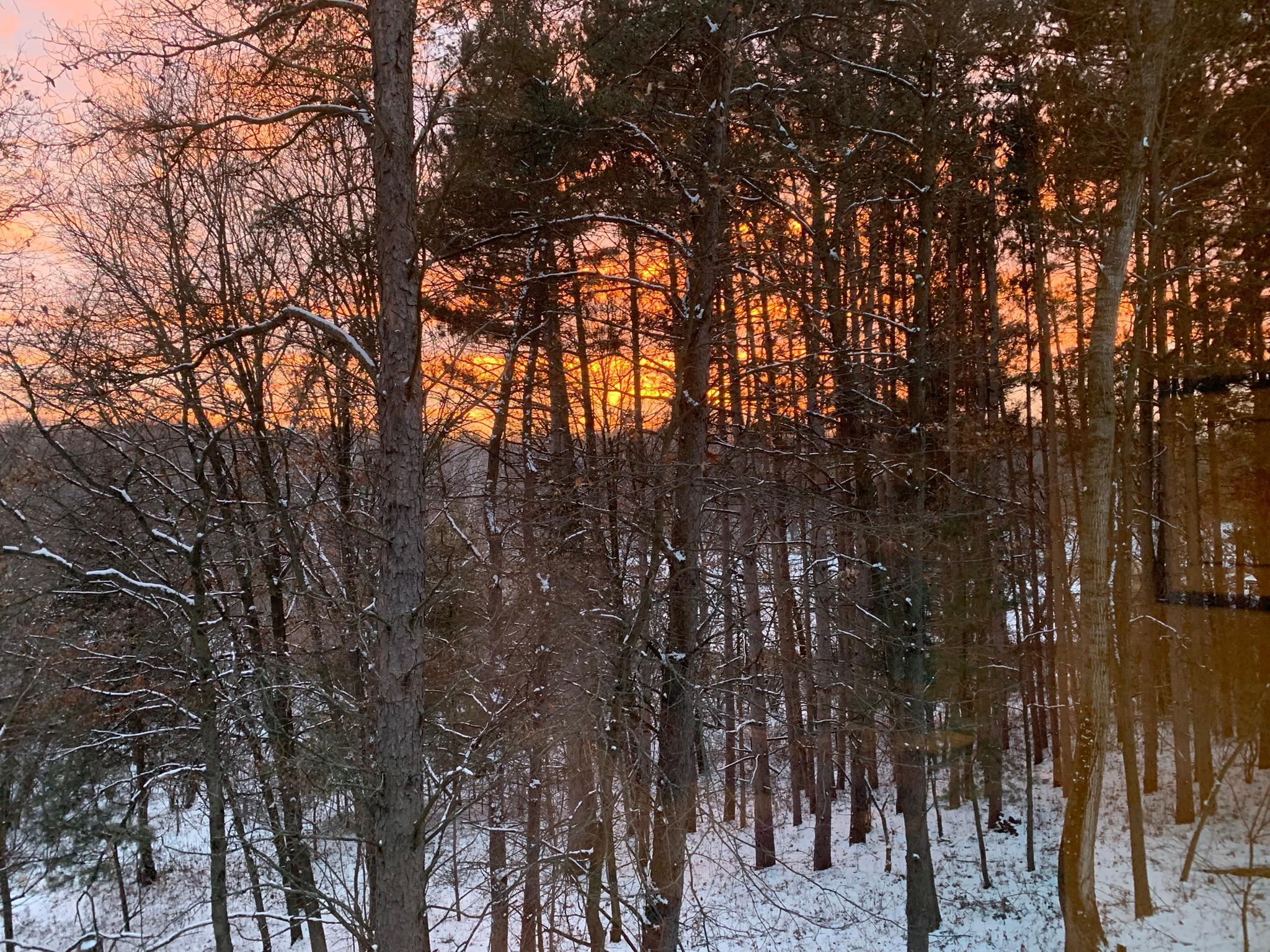 8917 Joliet Avenue N