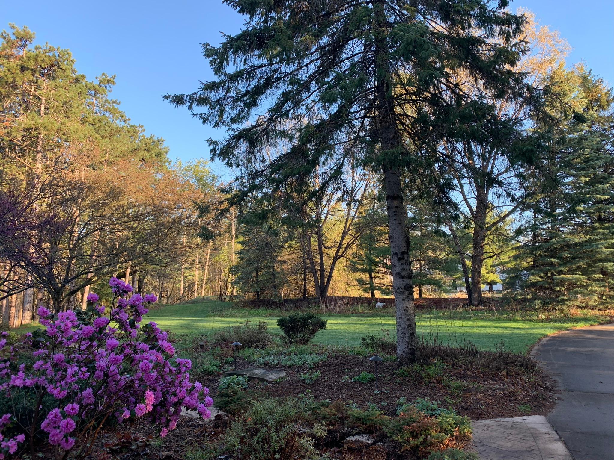 8917 Joliet Avenue N