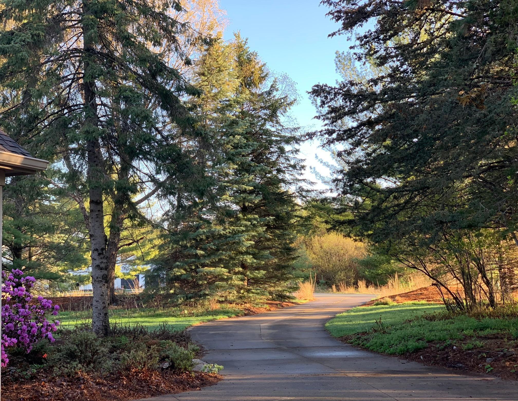 8917 Joliet Avenue N