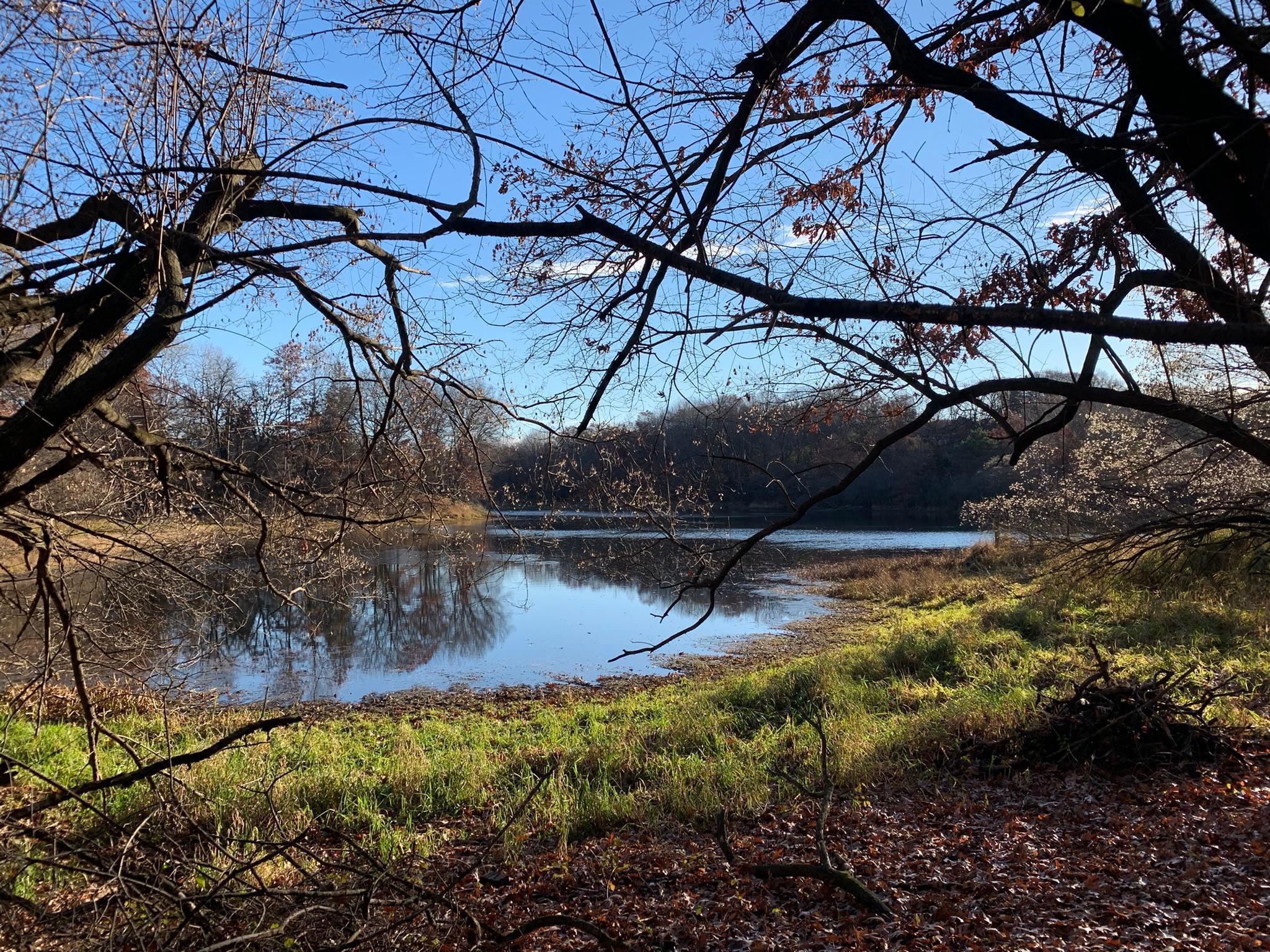 8917 Joliet Avenue N