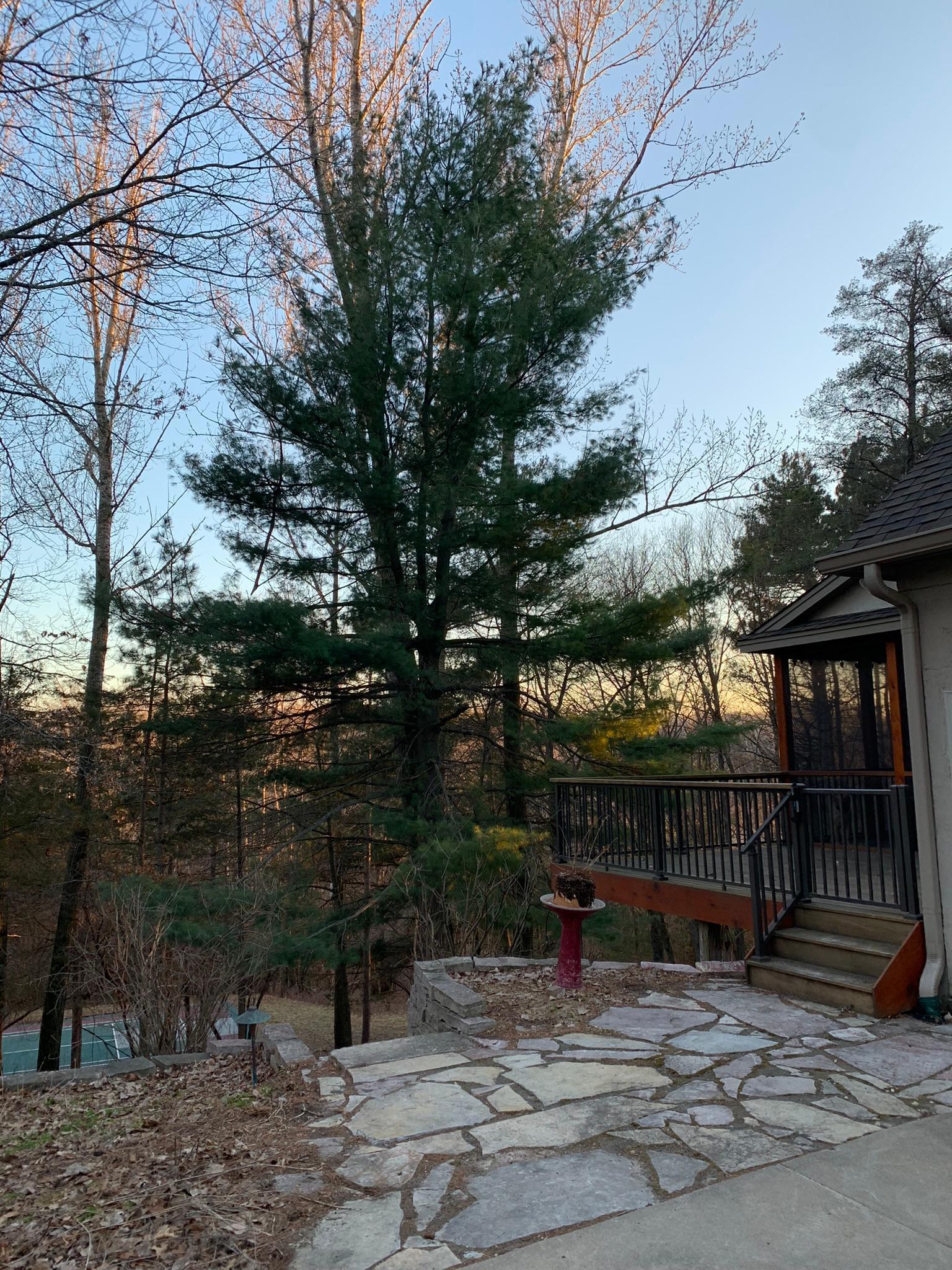 8917 Joliet Avenue N