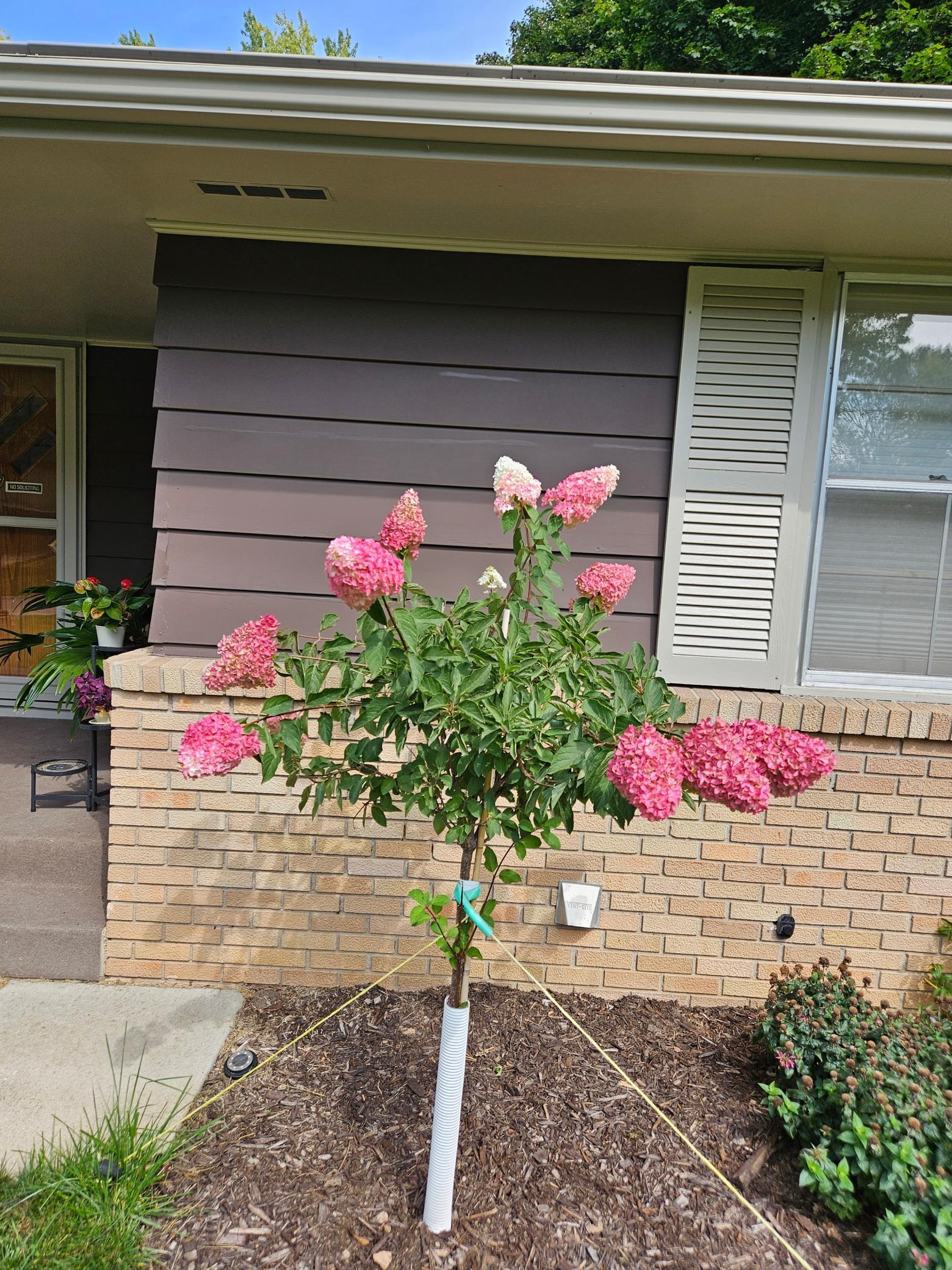 352 Cimarron Road