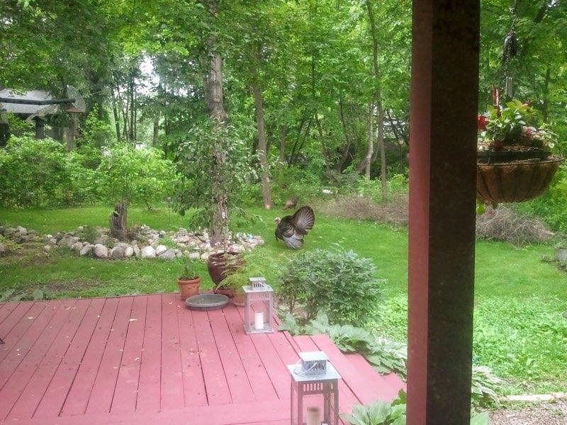 9449 Woodridge Drive