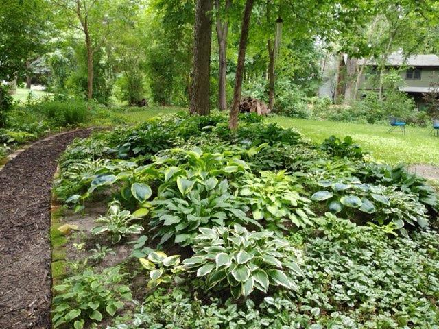 9449 Woodridge Drive