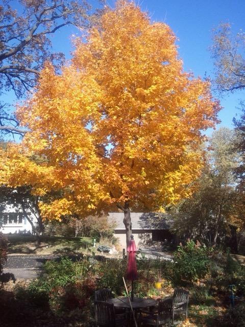 9449 Woodridge Drive